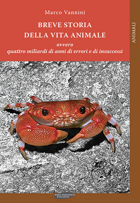 Breve storia della vita animale