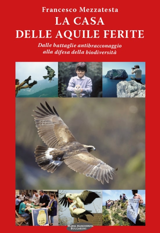 La casa delle aquile ferite