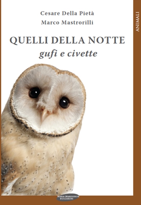 Quelli della notte
